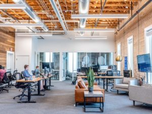 Using Biophilic Office Design at Your Workplace